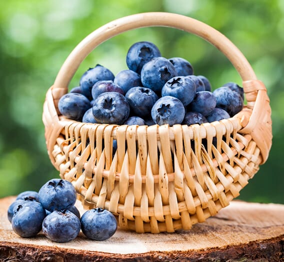 Blueberries_Wicker_basket_528580_1110x1024.jpg