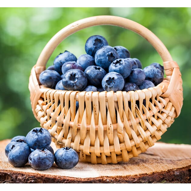 Blueberries_Wicker_basket_528580_1110x1024.jpg